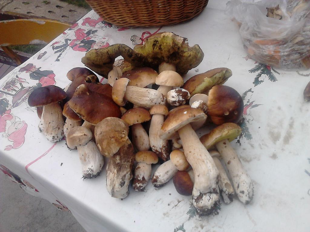 Białogóra Apartamentypomorze מראה חיצוני תמונה
